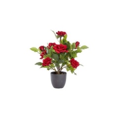 Smart Garden 40cm Regent's Roses - Ruby Red
