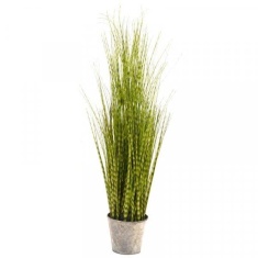 Smart Garden Zebra Grass 90cm