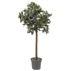 Smart Garden Olive Tree