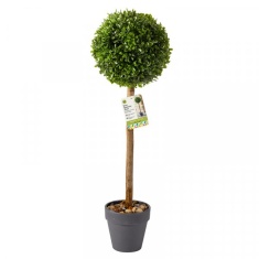Smart Garden Uno Topiary Tree 40cm