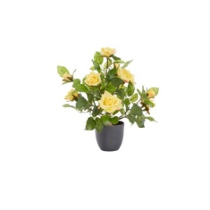 Smart Garden 40cm Regent's Roses - Sunshine Yellow