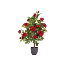 Smart Garden 80cm Regent's Roses - Ruby Red