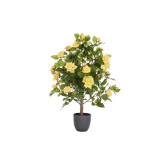 Smart Garden 80cm Regent's Roses - Sunshine Yellow