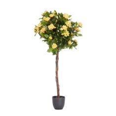 Smart Garden 120cm Regent's Roses - Sunshine Yellow