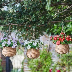 Smart Garden Basket Bouquets - Blossom Assortment Smart Garden Basket Bouquets - Blossom Assortment