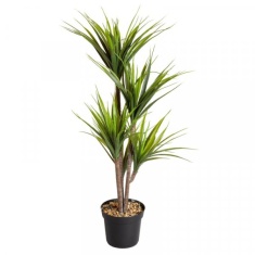 Smart Garden Dragon Tree Artificial Plant