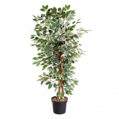 Smart Garden Weeping Fig Artificial Plant