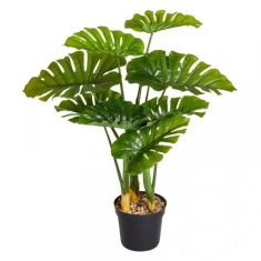 Smart Garden Swiss Cheese Artificial Plant