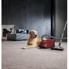 Miele C3Flex Cat & Dog Cylinder Vacuum Cleaner
