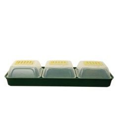 White Furze Windowsill Propagator Kit