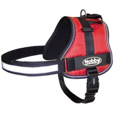 Nobby Nylon 'Seguro' Harness