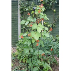 Poppy Forge Gothic Obelisk