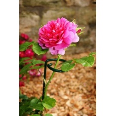 Poppy Forge Single Stem Support - Pack of 4