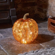 Smart Garden InLit Golden Pumpkin