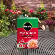 Miracle-Gro Rose & Shrub Fast Acting Granules Plant Food 3kg