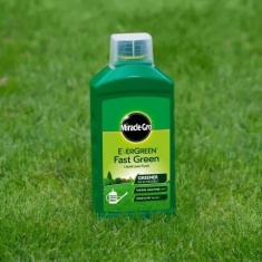 Miracle-Gro EverGreen Fast Green Liquid Concentrate 1 Litre