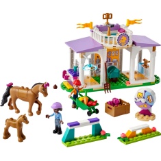 LEGO Friends 41746 Horse Training