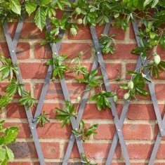 Smart Garden Heavy Duty Expanding Trellis - Slate Grey, 1.8mx0.3m