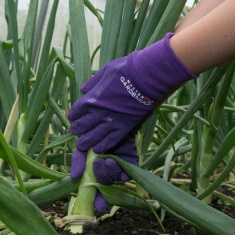 Town & Country Ladies Master Gardener Gloves - Aubergine