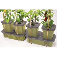 Garland Duogrow Self Watering Planter