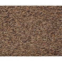 Henry Bell Mealworm for Wild Birds