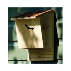 GreenKey Large Bat Box GreenKey Large Bat Box
