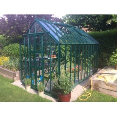Elite 6ft 3" Wide Thyme 6 Greenhouse