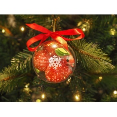 Zoon My Cat's Gift Pack Zoon My Cat's Gift Pack