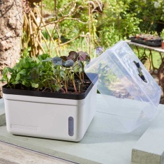 Smart Garden Perfect Propagator