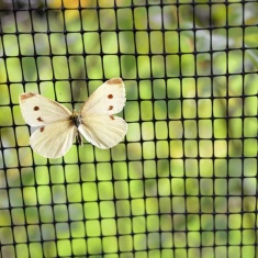 Tildenet Butterfly Extruded Net 2m x 5m Roll - Black