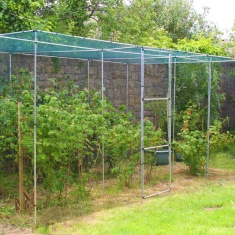 Main Frame Walk In Fruit Cage Starter Kit - 6ft x 12ft