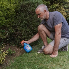Resolva Weedkiller 24H Ready To Use 800ML + 25% Extra Free