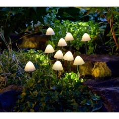 Smart Garden Lumishroom Stake Lights - Set of 10 Smart Garden Lumishroom Stake Lights - Set of 10