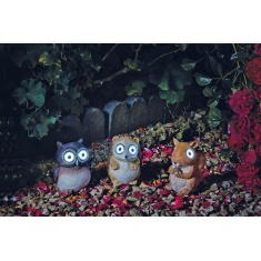 Smart Garden Hedgerow Heroes Smart Garden Hedgerow Heroes