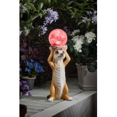 Smart Garden Mystik Meerkat