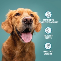 Burns Senior+ Toy/Small Breeds Chicken & Brown Rice Dog Food
