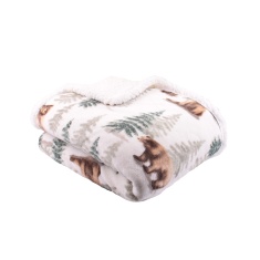 Dreams & Drapes Bear Walks Throw - Natural