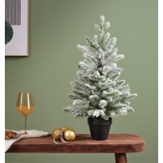 Allison Mini Snowy Christmas Tree - 60cm
