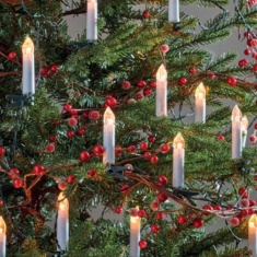 Smart Garden Set of 50 Candle String Lights Smart Garden Set of 50 Candle String Lights