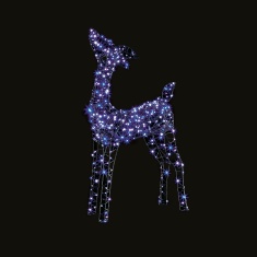 Premier Enchanted Tip Toe Reindeer - 1m