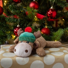 Zoon Pet Rudy Playpal Dog Toy Zoon Pet Rudy Playpal Dog Toy