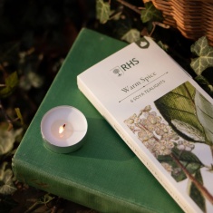 Freckleface RHS Heritage Tealights Warm Spice - Pack of 6