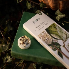 Freckleface RHS Heritage Wax Melts Warm Spice - Pack of 6