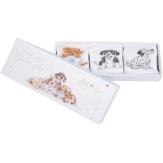 Wrendale Little Paws Baby Sock Gift Box