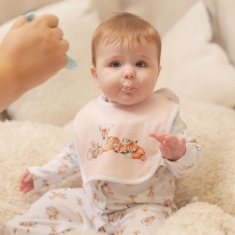 Wrendale 'Little Forest' Woodland Animal Bib Gift Set