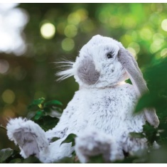 Wrendale Rabbit Medium Plush