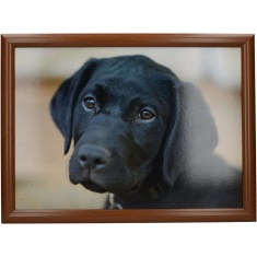Creative Tops Black Labrador Laptray