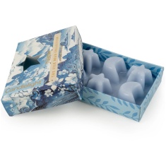 Candlelight Moon & Star Wax Melts Tianshui Sea Salt