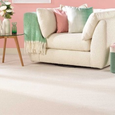 Abingdon Stainfree Ultra Carpet