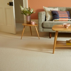 Cormar Primo Plus Carpet Cormar Primo Plus Carpet